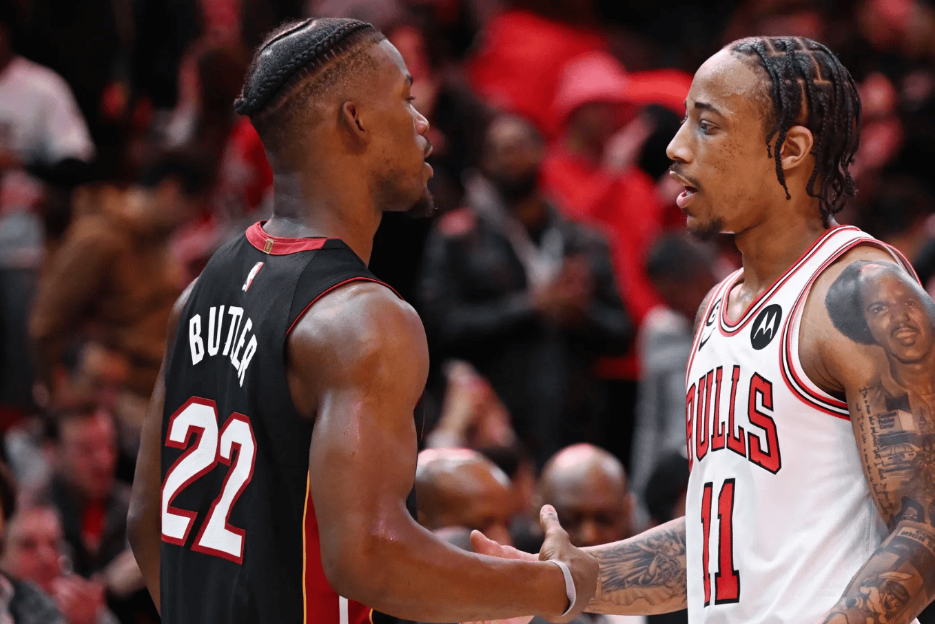 豪门对照组绝对不能输